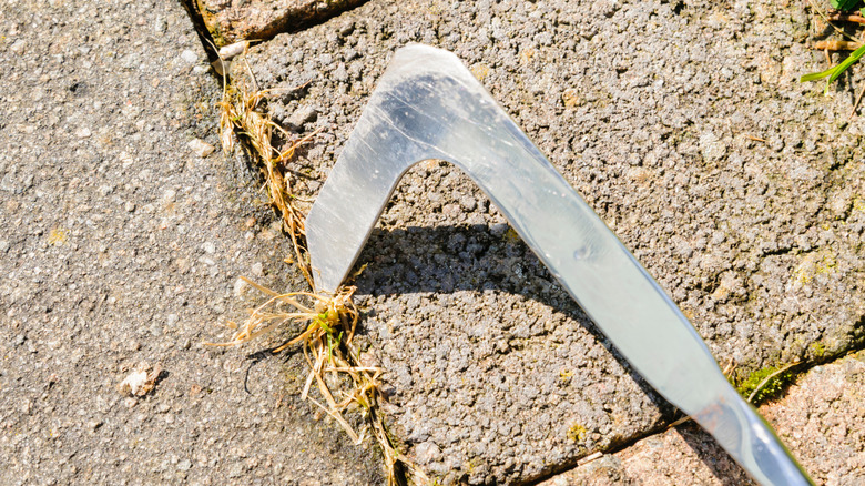 A patio knife removing weeds from between patio pavers
