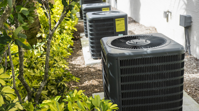 Plants near outdoor ac equipment