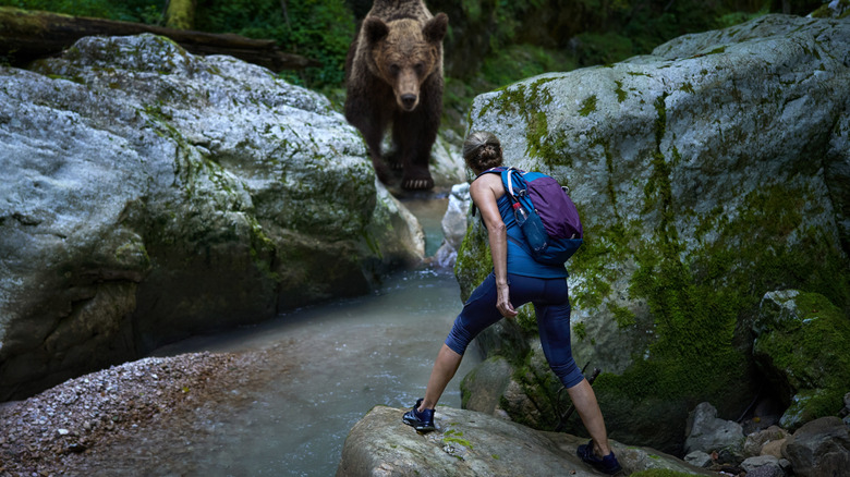 Hiker encounters bear near large rocks