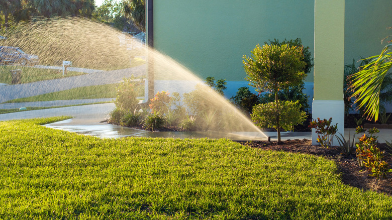 sprinkler system watering lawn