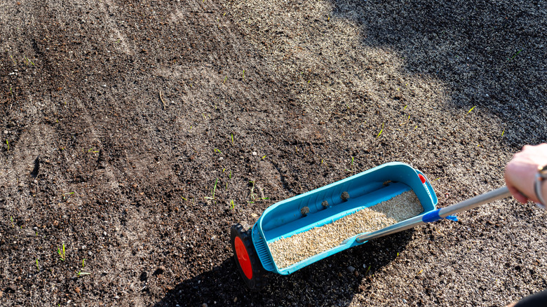 person pushing a seeder over soil