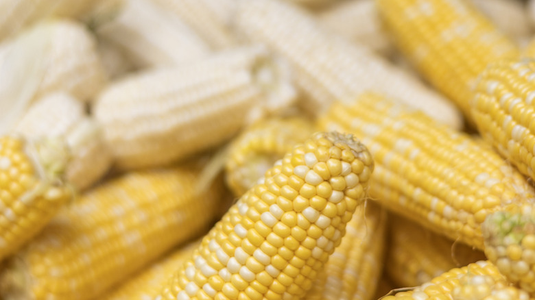 Ears of yellow and white corn