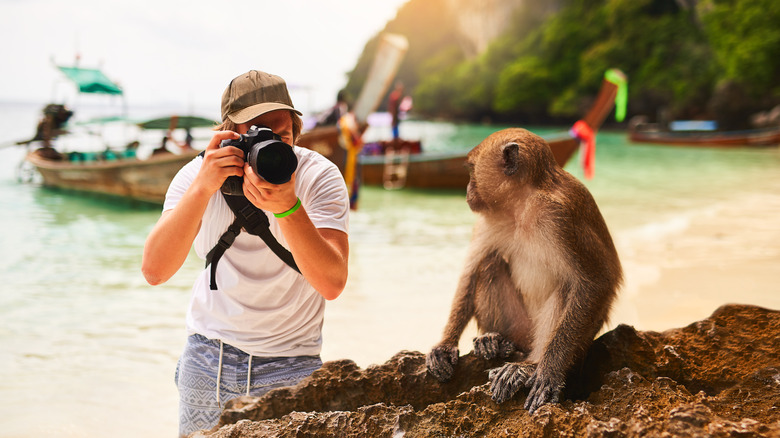 Tourist taking photo of monkey