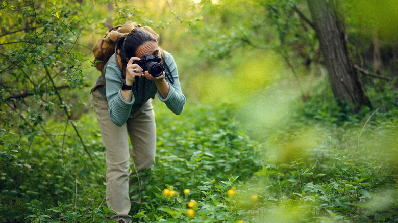 Wildlife photographer crouching to take pictures