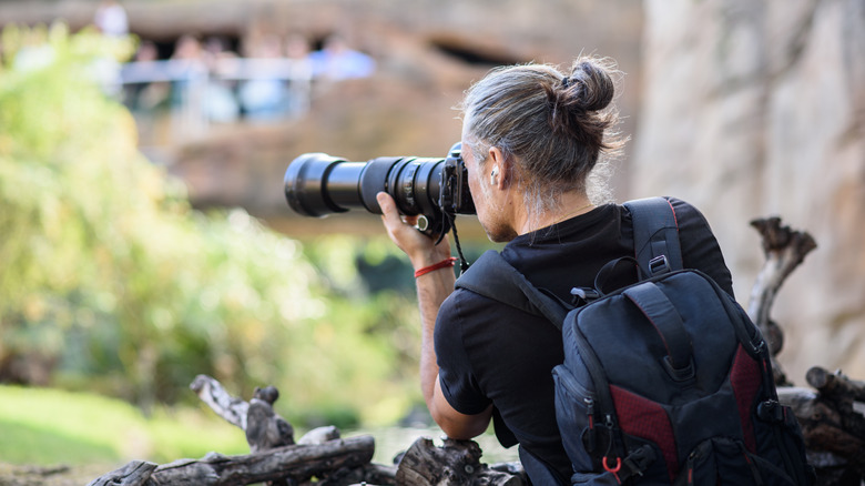 Photographer taking pictures of zoo animals