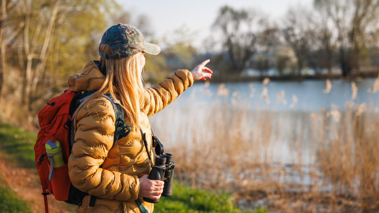 Ornithologist studying birds at nature reserve