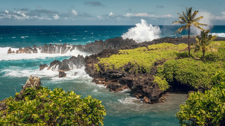 Waiʻānapanapa State Park