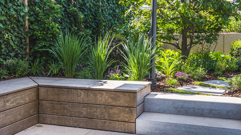 shady garden area with steps, benches, and a variety of plant life
