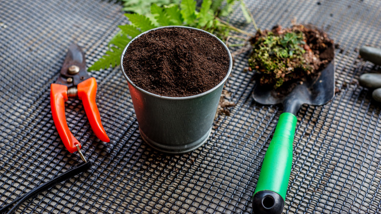 Plant pot with dirty garden tools
