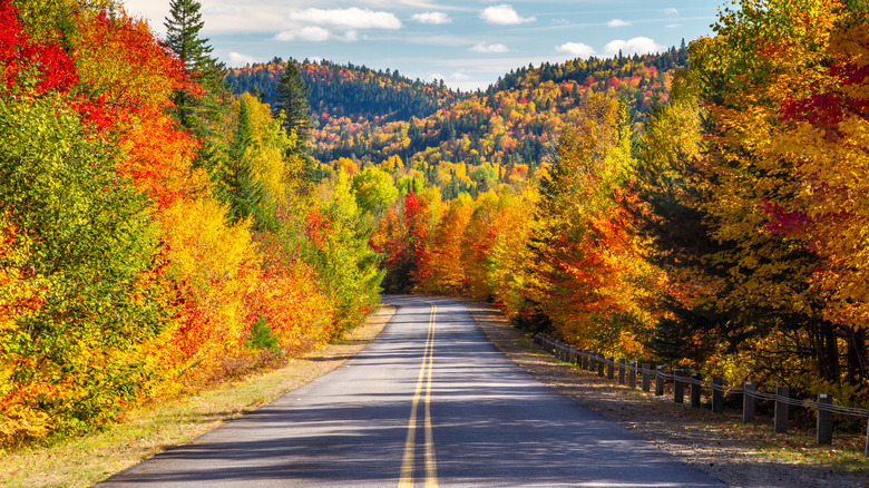 Scenic drive in autumn