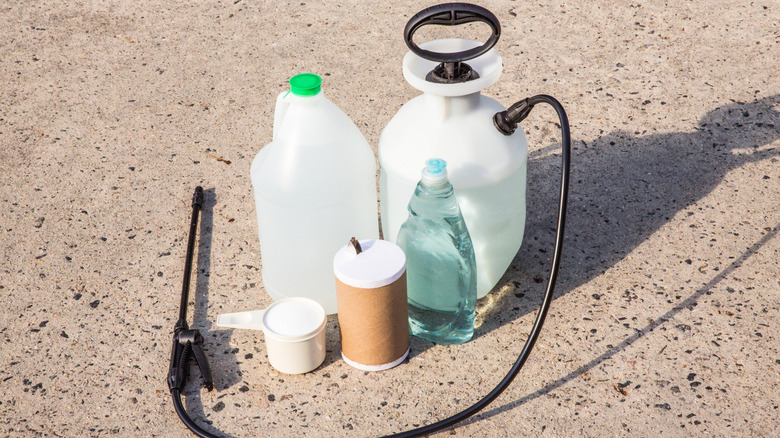 Supplies for weed killing, including jugs, dish soap liquid, and a spray jug
