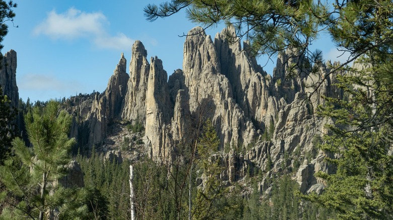 Needle Highway in Custer State Park