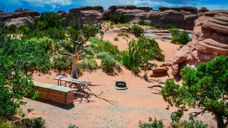 View from Devils Garden campground