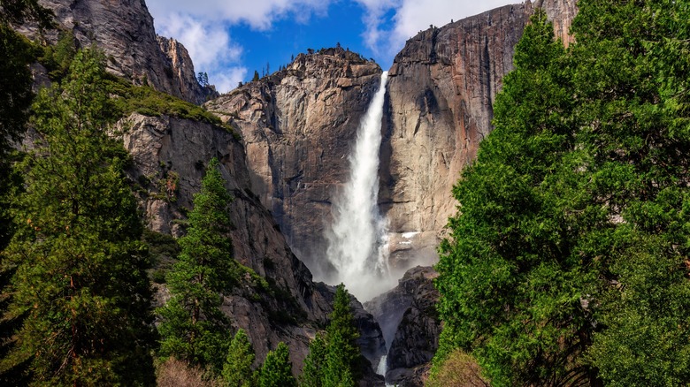 Yosemite National Park