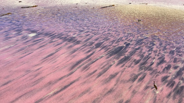 Purple sands at Pfeiffer Beach