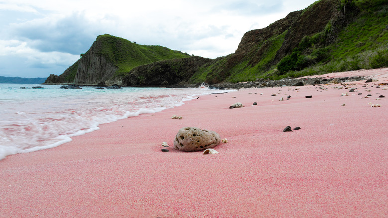 Pink Beach at Komodo National Park
