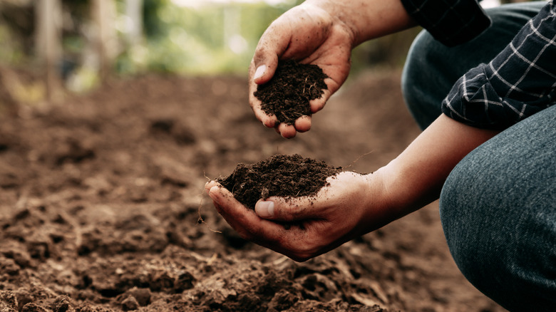A man kneeling with handfuls of dark brown soil.