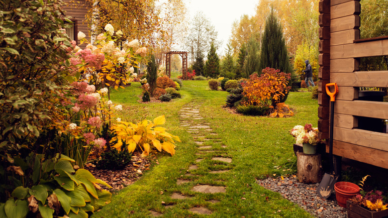 Fall backyard with trees and shrubs with their fall leaf colors in bloom
