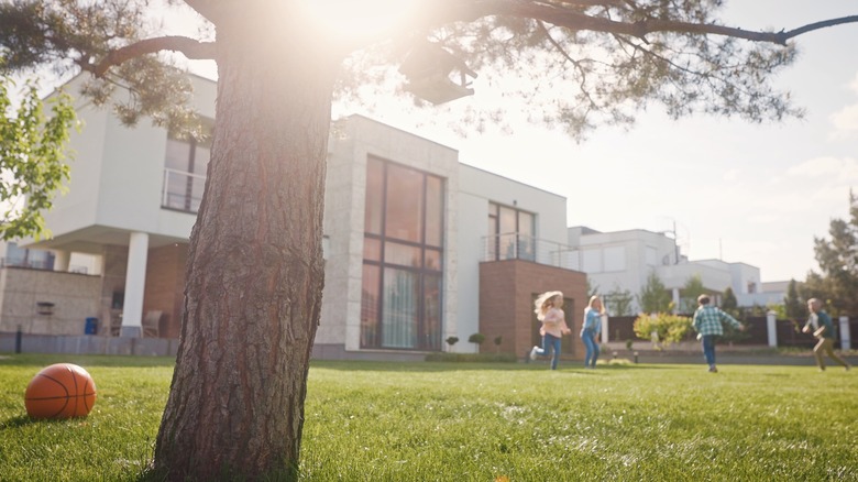 children playing on lawn