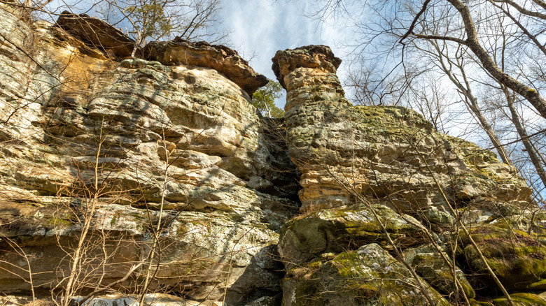 Devil's Standtable in Giant City State Park, Illinois