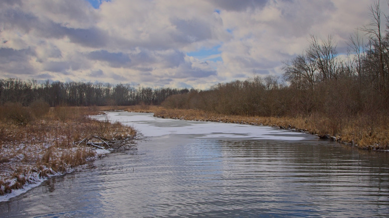 Burnt Ship Creek in Buckhorn Island Sate Park