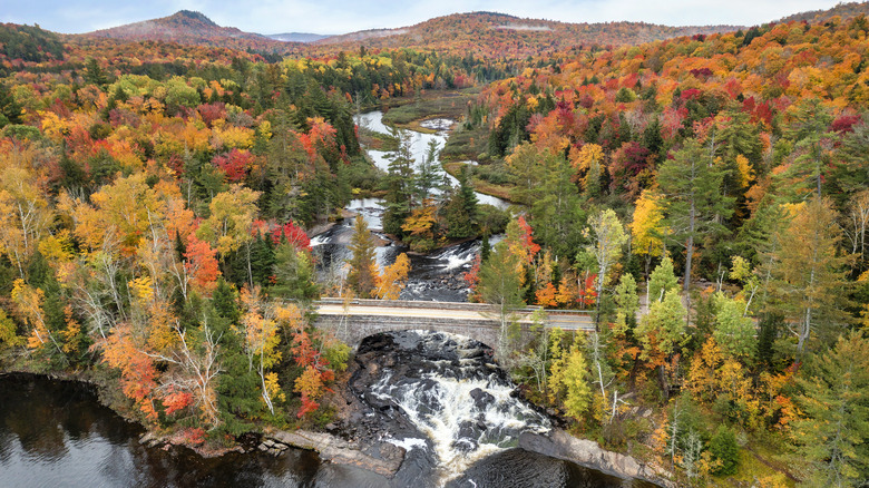 Bog River Falls in New York's Adirondacks Park, surrounded by fall foliage