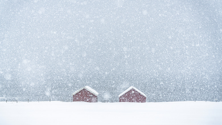 Heavy snowfall in a field with two buildings
