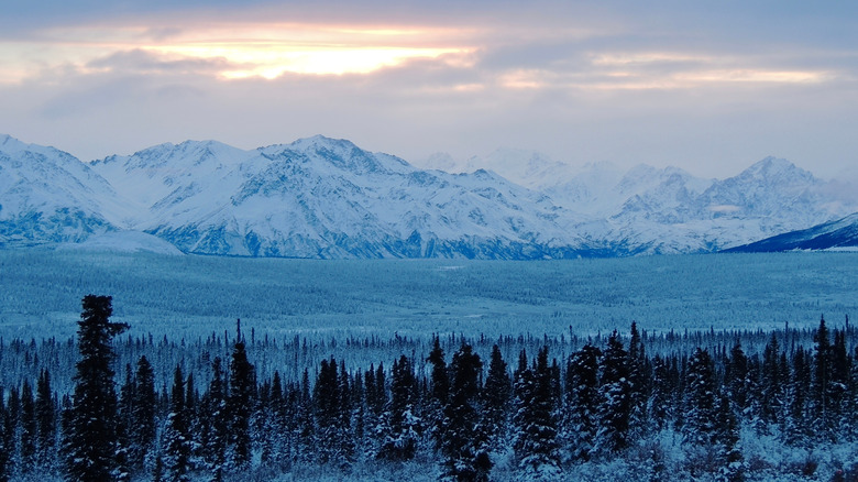 Snowy mountain landscape in winter daylight