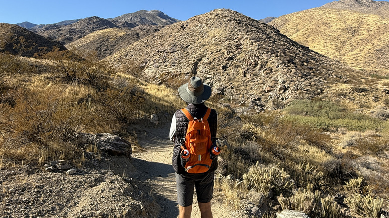 hiker among mountains and desert
