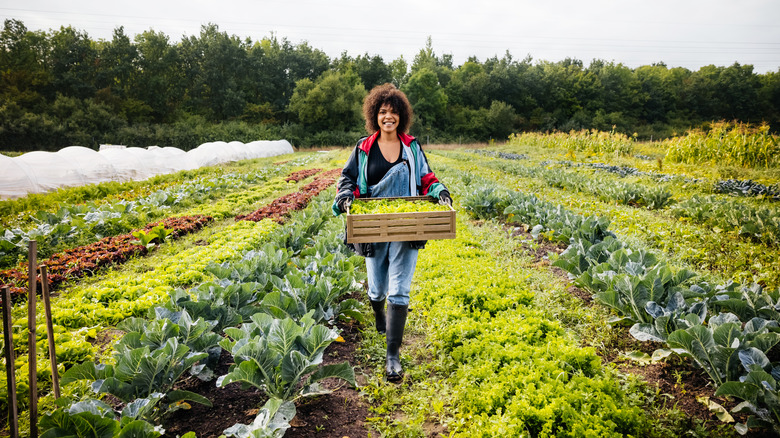 Happy woman with food from garden