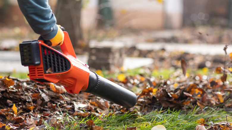 Person using an electric leaf blower