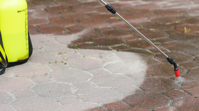 Handheld sprayer and driveway