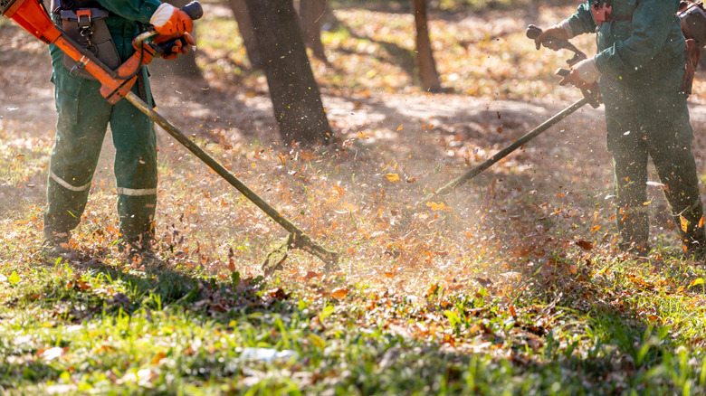 A team of landscapers cleaning up dead fall leaves