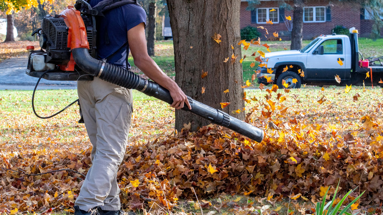 A man using a gas-powered leaf blower on a pile of leaves