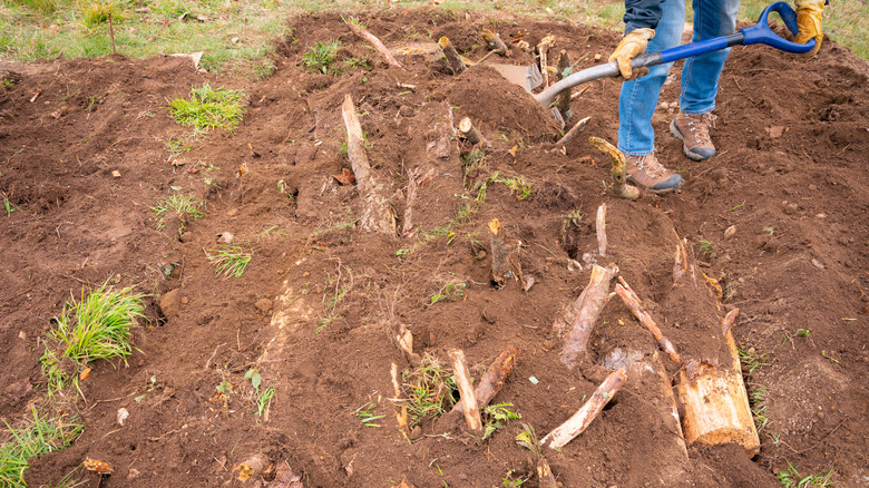 a gardener fills soil over logs in their hügelbed