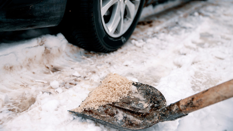 A shovel loaded with rock salt de-icing the asphalt near a car