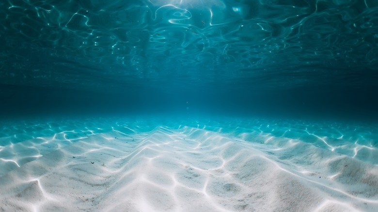 underwater view of deep ocean water and floor
