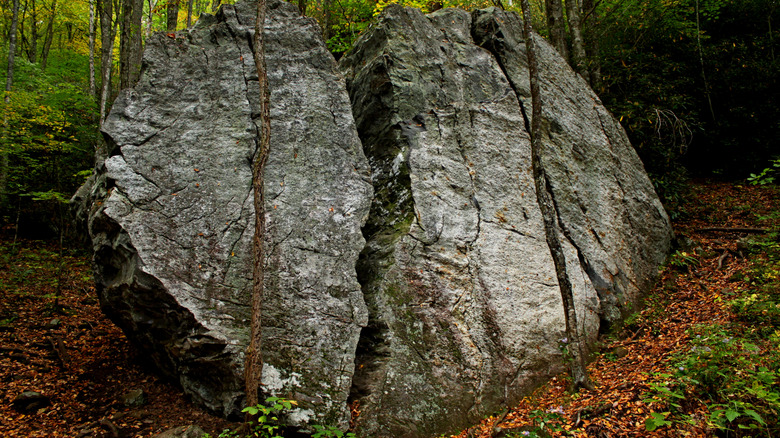 Heart Rock in Pinnacle Park with small trees in front of and behind it