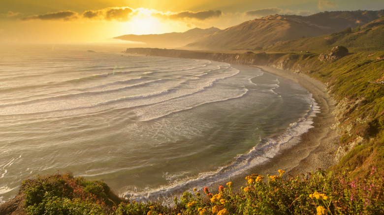 sand dollar beach at sunset