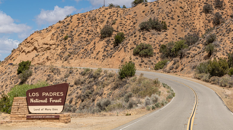 los padre national forest entry sign