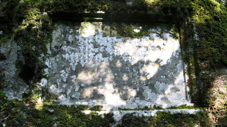 Old stone tablet covered in moss