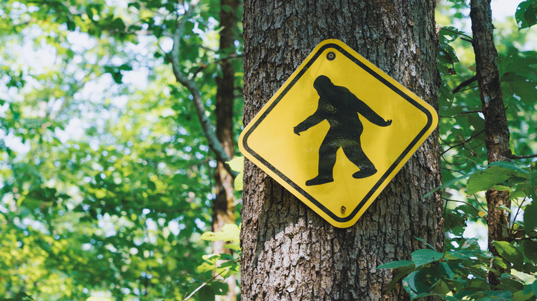 "Beware of Bigfoot" sign on tree