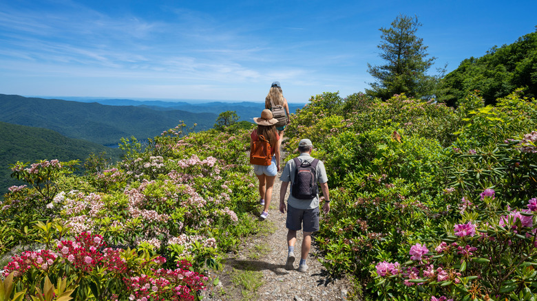Hikers on a trail in North Carolina