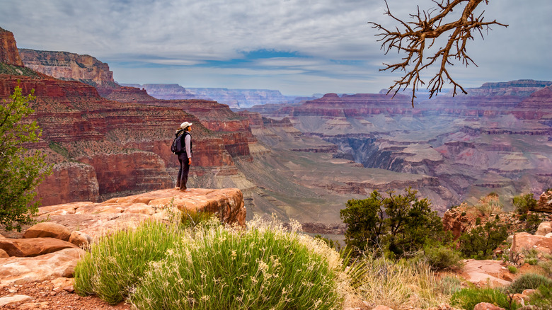 woman standing overlooking Grand Canyon in Arizona