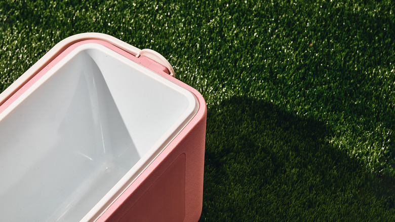 An unbranded pink camping cooler on some grass