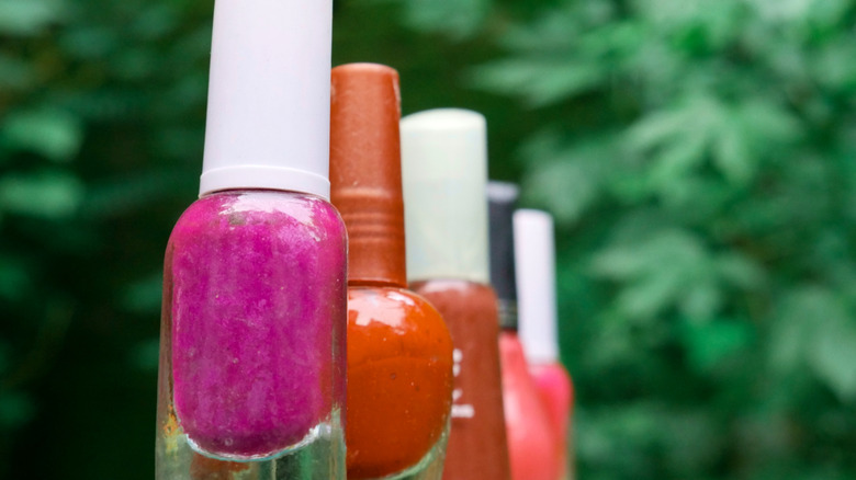 Nail polish bottles in front of bushes outside