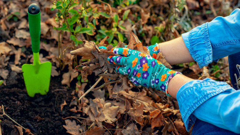 Woman prepares to plant in autumn
