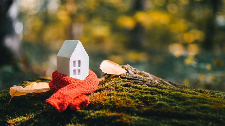 Miniature house with scarf on moss