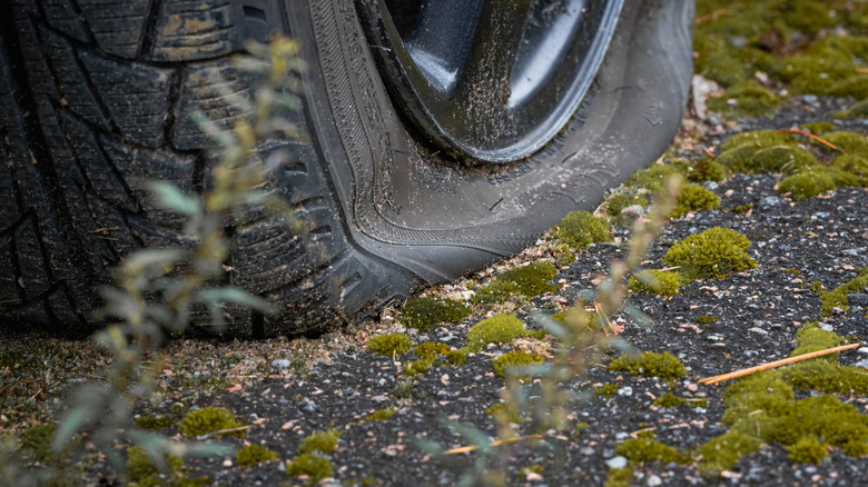 Deflated tire near clumps of moss