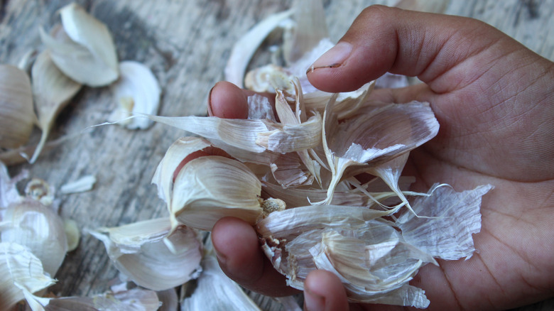 Hand holding garlic cloves and peels